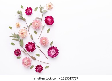 Flower Composition. Eucalyptus Branches And Dry Flowers On White Background. Flat Lay. Top View. Copy Space - Image