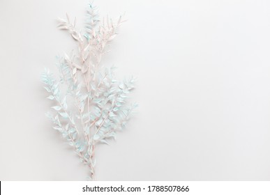 Flower Composition Made Of Dried Leaves Of Ruscus On Pastel Background. Nature Concept, Copy Space, Flat Lay.