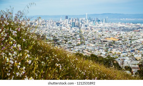 Flower Covered Spring Time In San Francisco , California , Bay Area Amazing Vast Cityscape Skyline With Homes And Buildings , Second Largest City In America. Twin Peaks View Of Bay Area