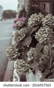 Flower Decorations In Restaurant Veranda 