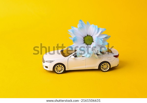 Flower delivery, romantic concept.\
Valentine\'s Day. Model car with flower on yellow\
background