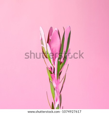 Similar – Image, Stock Photo Palm leaves and tropical flowers frame on white