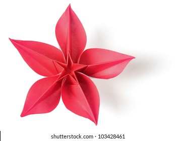 flower exotic origami on a white background