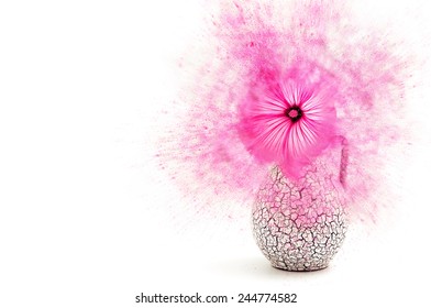 Flower - Exploding