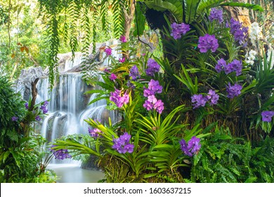 Waterfall Flowers Hd Stock Images Shutterstock