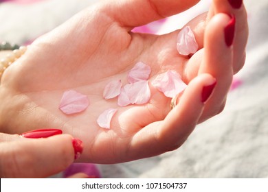 Flower flakes of a cherry