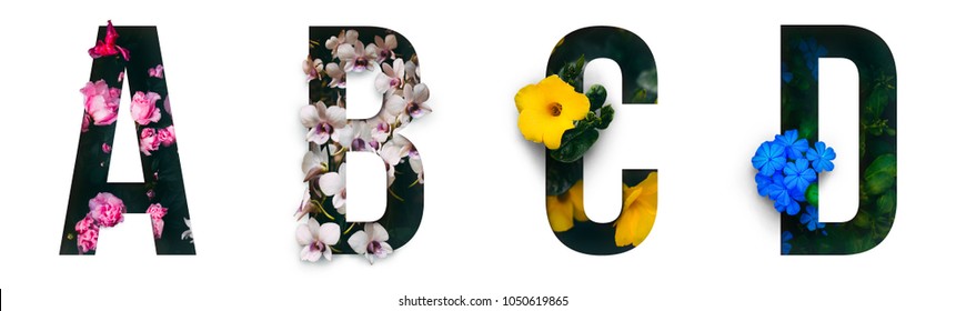 Flower font Alphabet a, b, c, d made of Real alive flowers with Precious paper cut shape of letter. Collection of brilliant flora font for your unique decoration in spring, summer & many concept idea