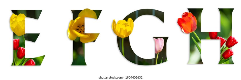 Flower Font Alphabet E, F, G, H Made Of Real Alive Flowers With Precious Paper Cut Shape Of Letter. Collection Of Brilliant Flora Font For Your Unique Decoration In Spring, Summer  Many Concept Idea