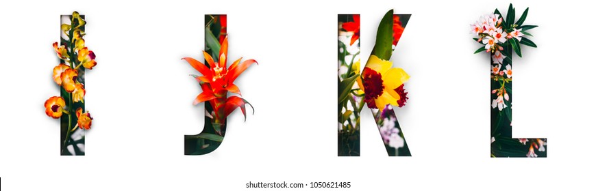 Цветочный шрифт Alphabet i, j, k, l, изготовленный из настоящих живых цветов с драгоценными бумаги вырезать форму письма. Коллекция блестящего шрифта флоры для вашего уникального украшения весной, летом и многие концептуальные идеи