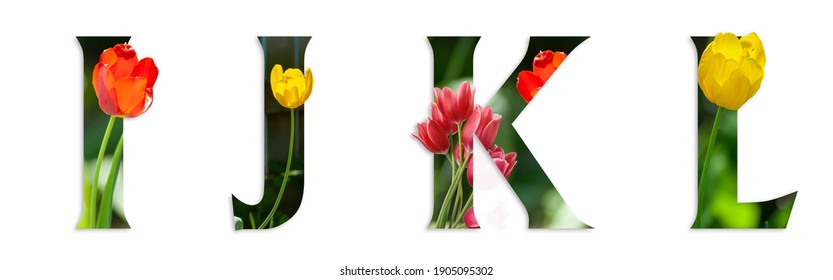 Flower Font Alphabet I, J, K, L Made Of Real Alive Flowers With Precious Paper Cut Shape Of Letter. Collection Of Brilliant Flora Font For Your Unique Decoration In Spring, Summer Many Concept Idea