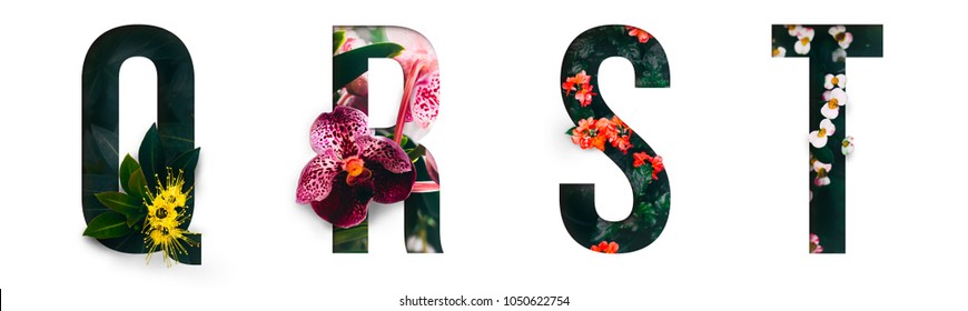 Цветочный шрифт Алфавит q, r, s, t, изготовленный из настоящих живых цветов с драгоценными бумагой вырезать форму письма. Коллекция блестящего шрифта флоры для вашего уникального украшения весной, летом и многие концептуальные идеи