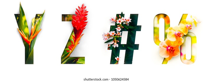 Цветочный шрифт Alphabet y, z, #,%, изготовленный из настоящих живых цветов с драгоценными бумаги вырезать форму письма. Коллекция блестящего шрифта флоры для вашего уникального украшения весной, летом и многие концептуальные идеи