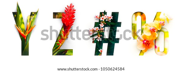 花のフォントアルファベットy Z は 文字の切り刻みの形をした本物の生きた花で作られます 春と夏のユニークなデコレーション用の鮮やかな花のフォントコレクション の写真素材 今すぐ編集