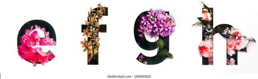 Flower font letter e, f, g, h Create with real alive flowers and Precious paper cut shape of alphabet. Collection of brilliant bloom flora font for your unique text, typography with many concept ideas - Shutterstock ID 1344432632