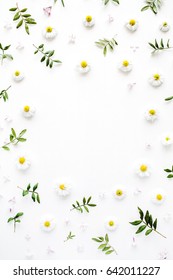 Flower Frame With Chamomile Buds, Branches, Leaf And Lilac Petals On White Background. Flat Lay, Top View