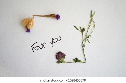 
Flower Frame Of Dried Flowers, Inscription 