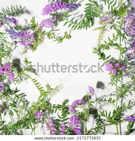 Similar – Image, Stock Photo Wild flowers frame Style