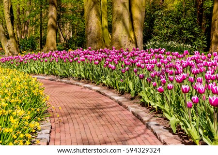 Flower garden. Beautiful park garden in spring. beautiful garden flowers