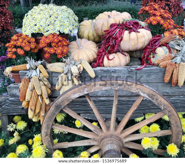 Flower Garden Decoration Wagon Wheels Fruit Stock Image Download Now