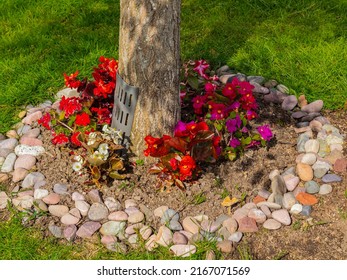 Flower garden planted around a tree in a circle gardening. Circular garden bed around base of tree with red flowers planted. Green grass. Street photo, nobody, selective focus - Shutterstock ID 2167071569