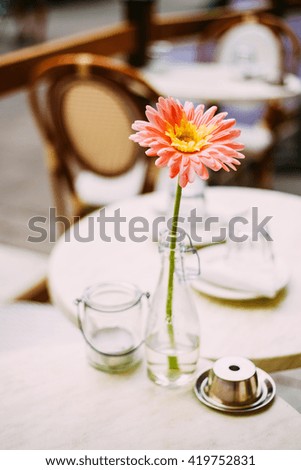 Similar – ut / nur schweben ist schöner / herr schnell und die blume