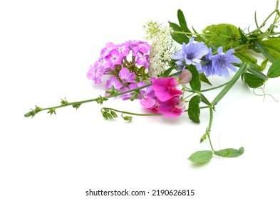 Flower Gift: Floral Arrangement Wildflower Bunch On White