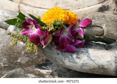 Flower in Hand