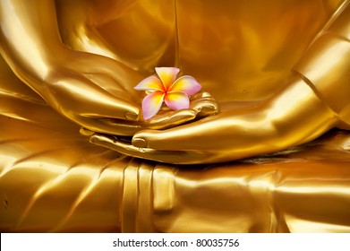 flower in hand of image buddha
