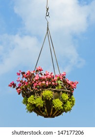 Flower Hanging Basket