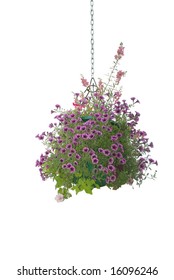 Flower Hanging Basket Isolated On White Background