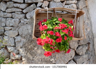 Flower hanging in wooden box 