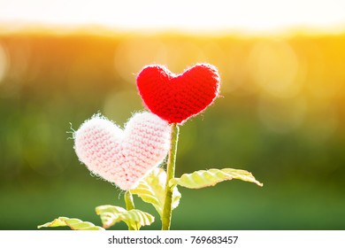 Flower Of Heart On Sunlight In The Public Park, For Give Supporting When People Get Who Lack Of Desire With Love Concept.