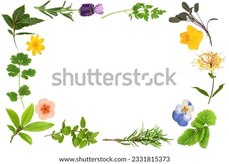 Similar – Image, Stock Photo flowering wild plant pure cabbage