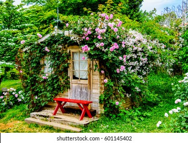 Flower House Images, Stock Photos & Vectors | Shutterstock
