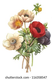 flower illustration - Shutterstock ID 116358547