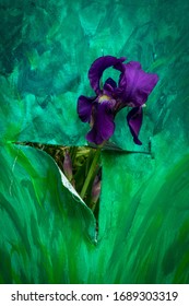 
A Flower, An Iris Which Crosses A Torn Painter's Canvas