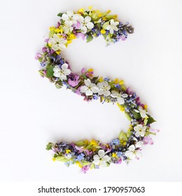 Flower letter S on a white background. Floristic abstraction. The letters are made from natural materials. Beautiful poster of the first letter of the child's name.