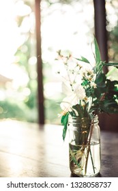 Flower and Light
