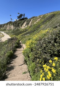 Flower lined path to the beach