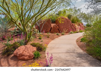 The flower lined pathway at Red Rock Desert Garden near St. George Utah. - Shutterstock ID 2147642497