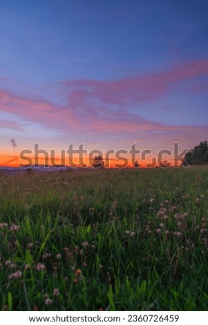 Flower meadow after color beautiful sunset with cloudy sky in Krkonose summer mountains