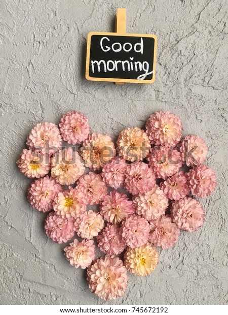 Flower Morning Love Morning Pink Chrysanthemums Stock Photo Edit