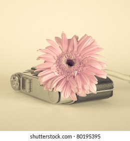 Flower and old camera