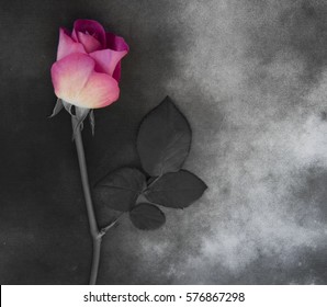 Flower On Gray Marble - Condolence Card, With Deepest Sympathy