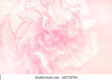 flower on soft pastel color in blur style - Shutterstock ID 263722754