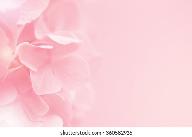 flower on soft pastel color in blur style - Shutterstock ID 360582926