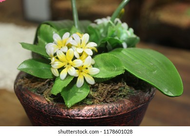 Flower on the table