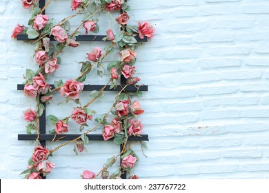 Flower On Wall Brick