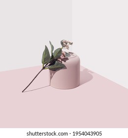 Flower and pastel pink vase against soft background. Modern minimal aesthetic composition.