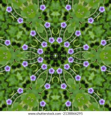 flower pattern; format; tone; system; design; schema